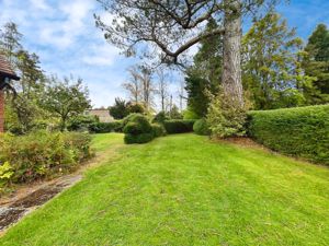 Photo 13- click for photo gallery